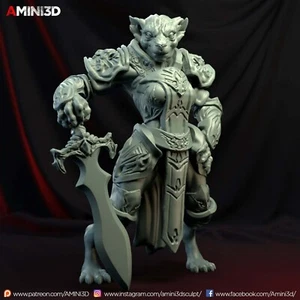 Tabaxi Paladin, Female Fantasy Miniature D&D Tabletop Game Amini3D - Picture 1 of 1