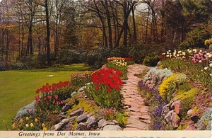 Saludos desde Des Moines, Iowa jardín de tulipanes de colección continental sin publicar - Imagen 1 de 2