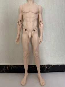 Muñeca 1/3 BJD Dollshe DS Boy Body A34 - Solo cuerpo (sin cabeza) + DHL - Imagen 1 de 3