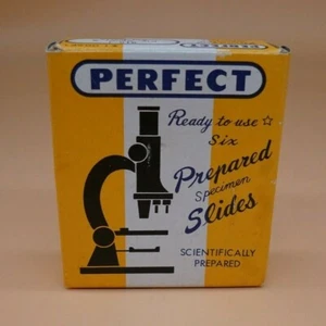Vintage Perfect Prepared Specimen 6 Slides of Fly, Spider & Ant Parts 810-J - Picture 1 of 4