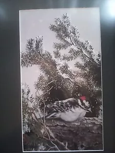 "DOWNY WOODPECKER" LITOGRAPH BY MARC BARRIE 1984 11 1/2" X 6 1/2" 28/300 - Picture 1 of 3