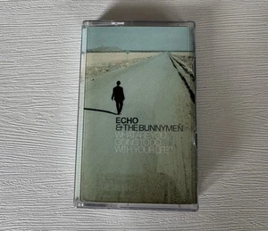 Echo & The Bunnymen What Are You Going To Do With Your Life? Cassette 1999 Rare! - Imagen 1 de 2
