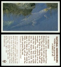 Crocodile #15 Natural Neighbours 1992 Brooke Bond Tea Card
