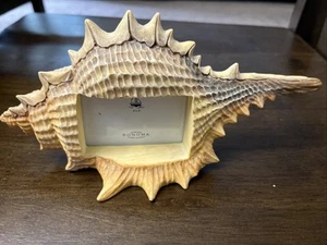 Sonoma Life + Style Picture Frame  ~ Sea Shell 2.5 X 2”  9” Long - Picture 1 of 5