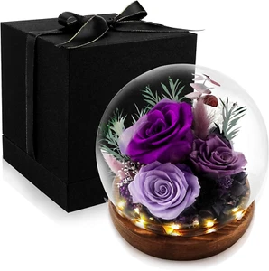 Preserved Roses Gifts for Women Mom Grandma Friend,Long-Lasting Real Flowers in - Picture 1 of 7