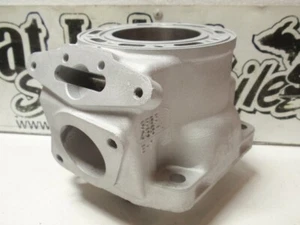 Moto de nieve Arctic Cat 440 Sno Pro 95B5 cilindro Reman 2004-2006 reembolso de $50 núcleo - Imagen 1 de 3