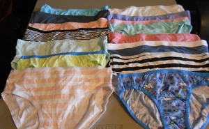 WHOLESALE LOT # 168 FOURTEEN PAIR SIZE 12 GIRLS UNDERWEAR NEW - Picture 1 of 1