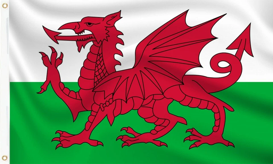 WALES FLAG - WELSH DRAGON FLAGS Hand, 3x2, 5x3, 8x5 Feet RUGBY UK FLAG SELLER - Image 1 of 1