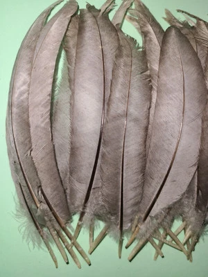 25 Chicken Feathers Gray Mottled Wing  5"-5 1/2" Fly Tying cruelty-free A400 - Image 1 of 2