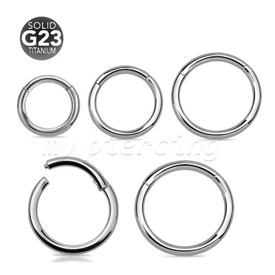 2 piezas. Anillos de tabique Labret de cartílago de oreja clicker anillo de segmento con bisagras de titanio G23 Foto 1 de 4