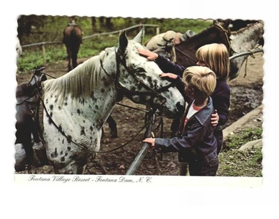 Fontana Village Resort, Fontana Dam NC Vintage postcard unposted Horses - Image 1 of 2