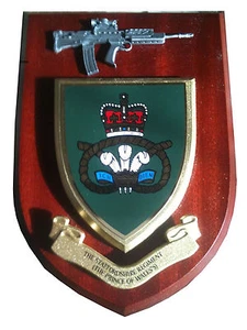 Staffordshire Regiment POW Prince of Wales Military Wall Plaque+ Pewter SA80 - Picture 1 of 1