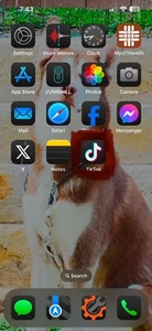 TIK TOK iphone 15 pro max unlocked 128gb - Picture 1 of 1