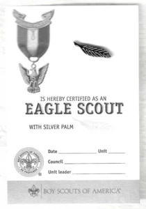 SCOUTS BSA EAGLE RANK AWARD SILVER PALM PIN NEW CURRENT WITH CARD - Picture 1 of 6