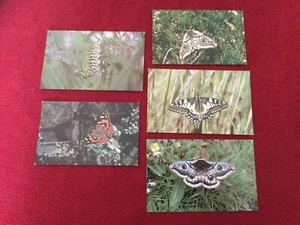 Butterfly Moth Postcards, Painted Lady, Swallowtail, Emperor, Caterpillar - Picture 1 of 11