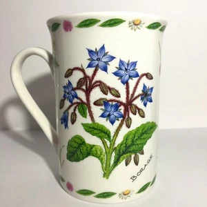 Kent Pottery - Beautiful Porcelain Herbs - Borage Sage - Cup Mug *SHIPS FAST* - Picture 1 of 6