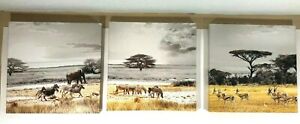 African Safari Canvas Prints Set of 3 Zebra Elephant Wall Art 15.5" x 15.5" Mint