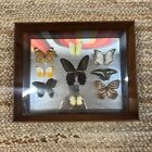 Vintage Mid Century Framed 9 Butterflies Mirror Wall Hanging Art