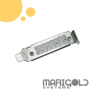 Soporte de bajo perfil NVIDIA T4 M4 P4 LP - Imagen 1 de 1