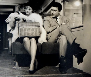 DODICI ORE PER UCCIDERE 1960 FOTO ORIGINALE NICO MINARDOS BARBARA MANSELL 8x10 - Foto 1 di 3