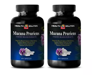 libido and energy for women MUCUNA PRURIENS VELVET BEAN boost nootropic brain 2B - Picture 1 of 12