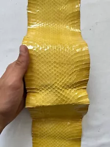 Snake leather for crafts, real snakeskin hide exotic leather - Picture 1 of 27