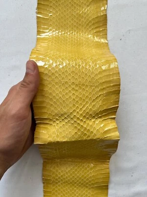Snake leather for crafts, real snakeskin hide exotic leather - Image 1 of 4