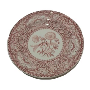 Vintage Spode Botanical Plate - seltener Fund - Bild 1 von 5