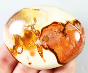 Natural Amazing Orbicular Ocean Jasper Agate Crystal Jasper Reiki Stone Pattern - Picture 1 of 10