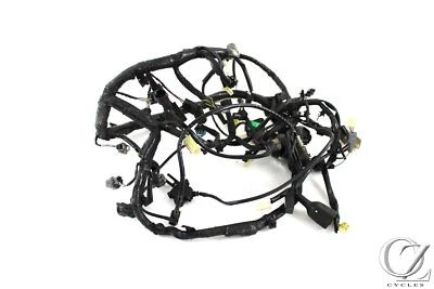 Arnés de cables principal completo para Kawasaki EX300 Ninja 300 13-17 Foto 1 de 4