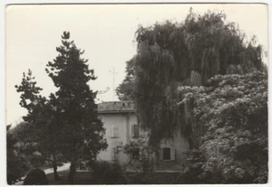 S. MARIA CODIFIUME - ARGENTA - FERRARA - TENUTA NERI - VILLA E PARCO -16128- - Picture 1 of 1