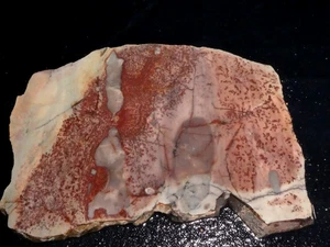 Losa de jaspe salvia roja--6" x 4" cable o exhibición, geología, - Imagen 1 de 3