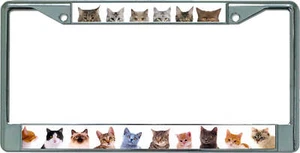 Adorable Cats And Kittens Chrome License Plate Frame - Picture 1 of 1