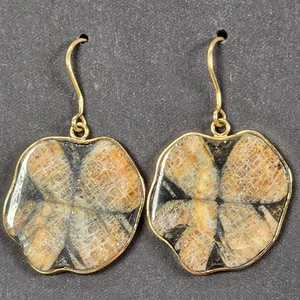 Chiastolite Crystal Clover Cross Stone Earrings 14k Tested Gold Frame & Hook - Picture 1 of 7