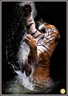 Tiger Splash DIGITAL DOWNLOAD Counted Cross Stitch Pattern PDF Saga - Image 1 of 4