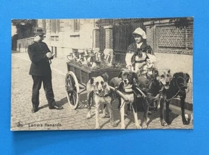 C1900 BELGIUM MILKMAID WITH DOG CART LAITIERE FLAMANDE Metal Muzzles - Picture 1 of 4