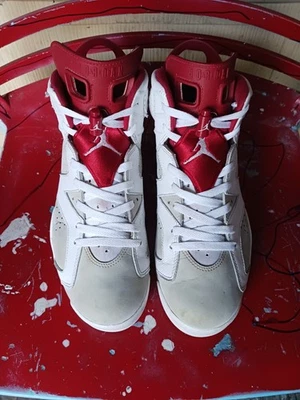 Talla 10.5 - Air Jordan 6 Retro Alterna Foto 1 de 4