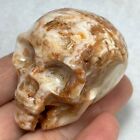 80g Natural cherry blossom amber carved Skull 26a