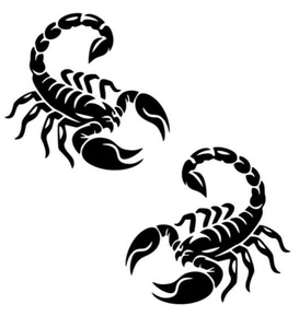 2x SKORPION links/rechts,  Autoaufkleber Sticker , 10,5x10cm Tiere Giftig LKW - Bild 1 von 2