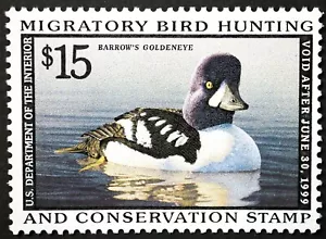 RW65 Duck Hunting Stamps MNH OG migratory ducks hunt stamps collectable 1998 - Picture 1 of 2