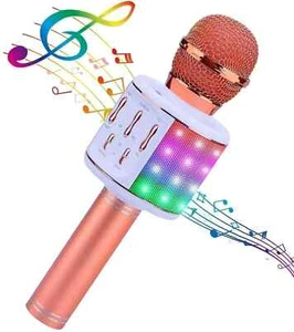 Micrófono de karaoke inalámbrico Bluetooth Altavoz LED Cambiador de voz Radio FM Teléfono - Imagen 1 de 8