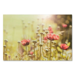Póster 2165 Póster Lienzo Flores, Prado Naturaleza Paisaje Campo Plantas - Imagen 1 de 7