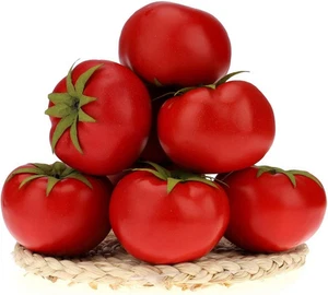 Gresorth 6Pcs Artificial Lifelike Simulation Tomato Fake Fruit Vegetable Home Pa - Picture 1 of 12
