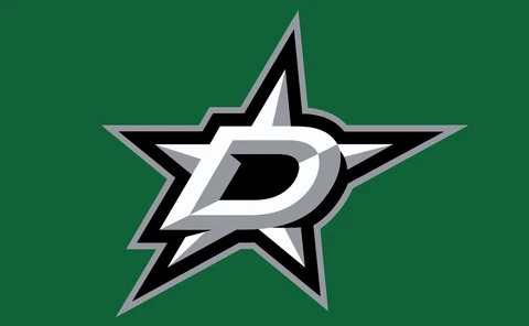 Dallas Stars Flag 3x5ft Banner Polyester Ice Hockey Stanley Cup stars005 Cover