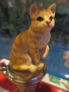 KATZE ROT TABBY WEINSTOPFEN - Bild 1 von 2