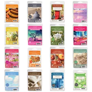 La cera perfumada se derrite - Tamaño grande - Muchos aromas relajantes infundidos - Todas las estaciones - Imagen 1 de 19