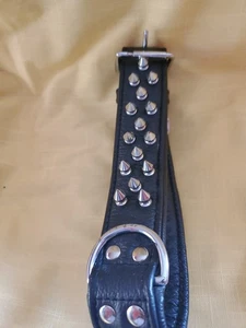 Angel Amsterdam Multi-line Spiked Standard Dog Collar, Black, 24”x 1 1/2” - Picture 1 of 7
