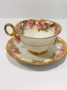 Extremely RARE Shelley (Paragon) Tea Cup & Saucer Set Gold Trim Blossom #13538 - Picture 1 of 14
