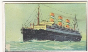 OCEAN LINER LINIENSCHIFF PAQUEBOT STATENDAM HARLAND AND WOLFF IMAGE CARD - Picture 1 of 2