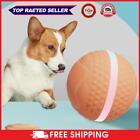 Active Rolling Ball USB Rechargeable Interactive Dog Ball for Dogs (Orange) UK